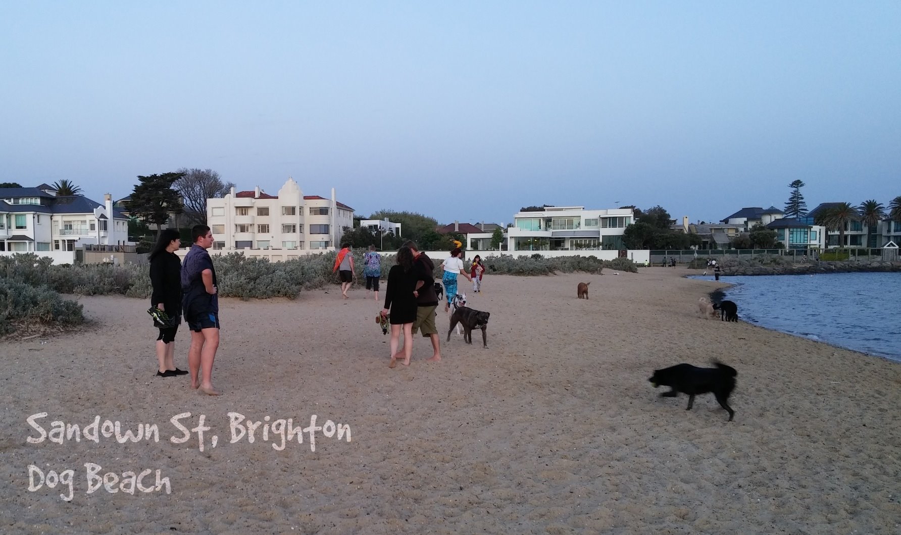 Sandown St Beach, Brighton - Dog Beach
