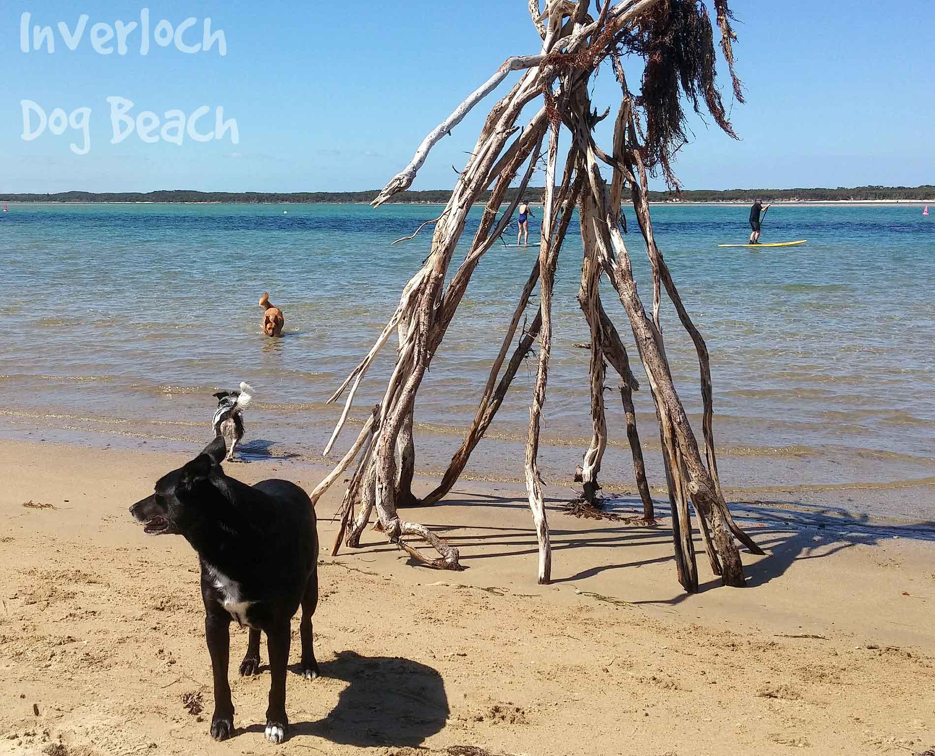 Inverloch - Dog Beach