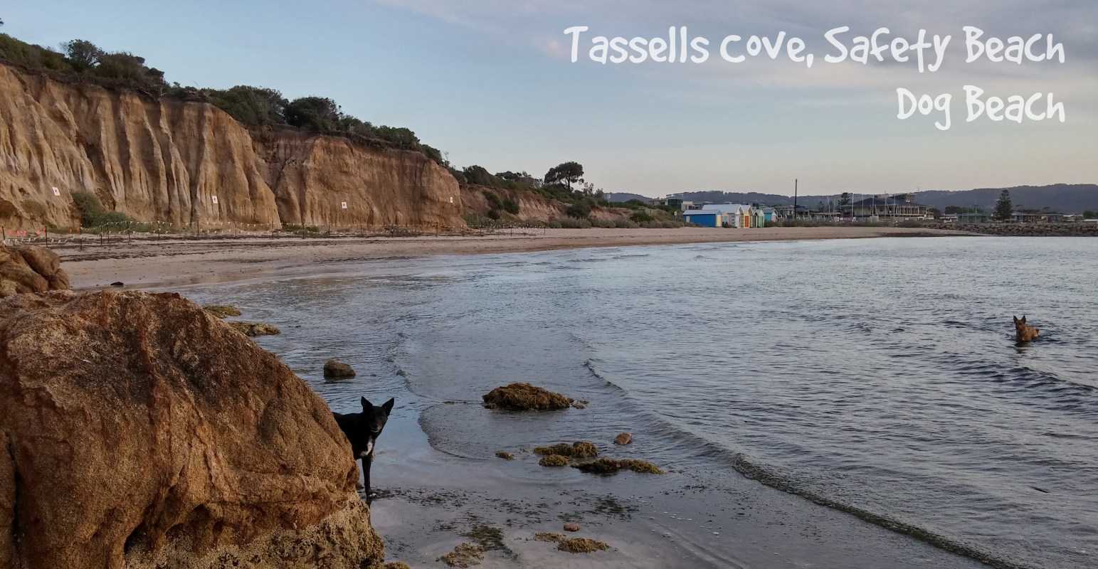 Tassells Cove, Safety Beach - Dog Beach