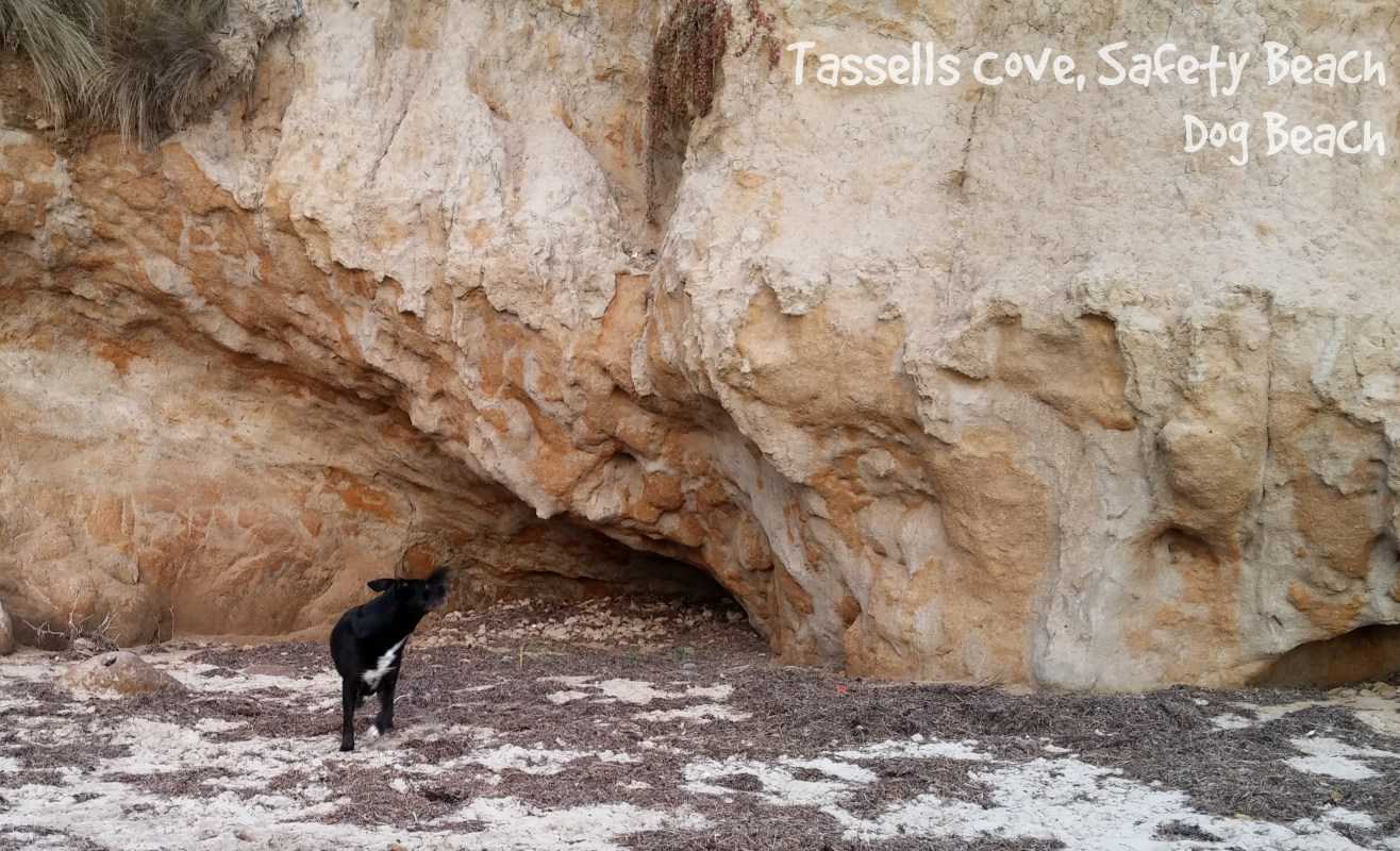 Tassells Cove, Safety Beach - Dog Beach