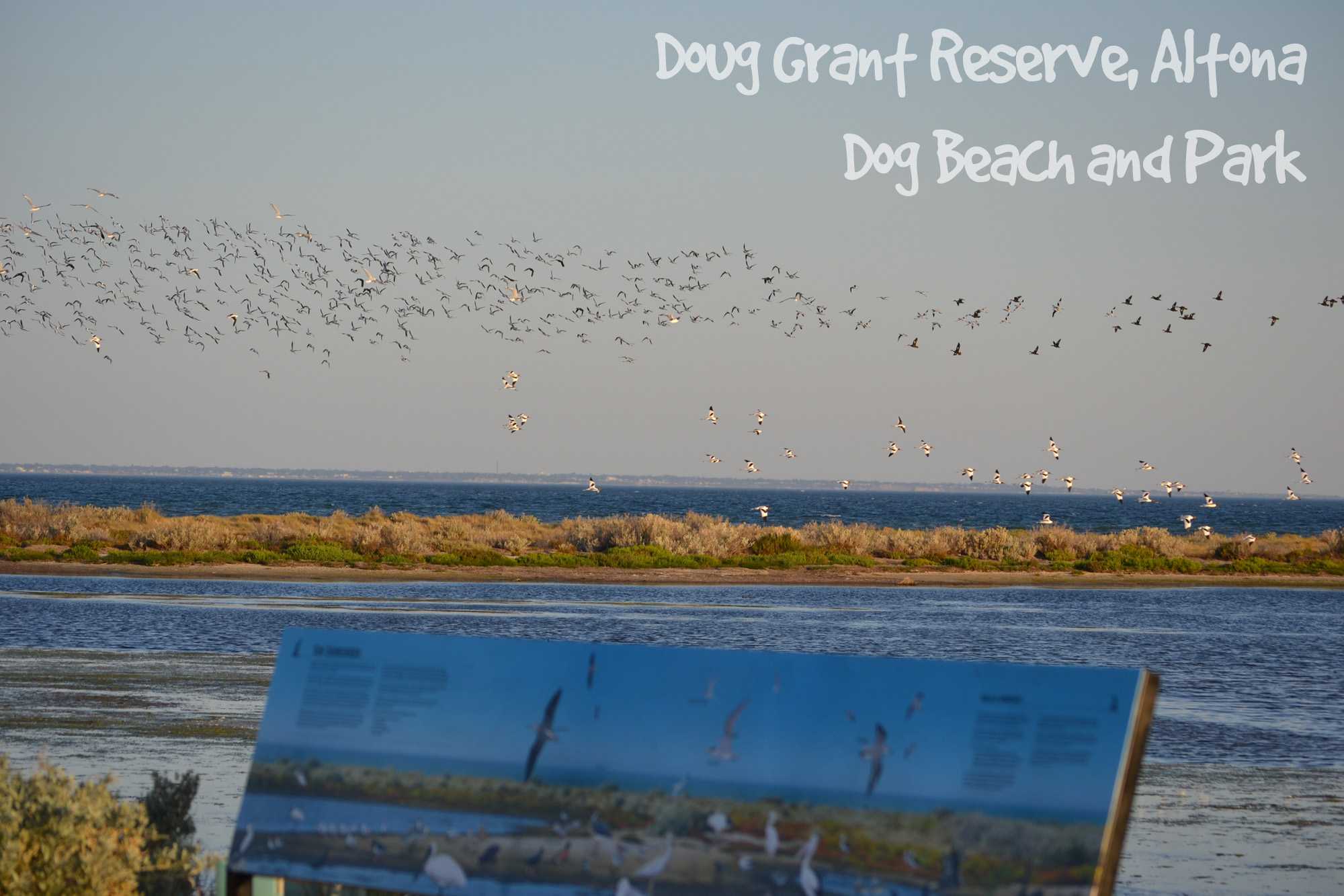 Doug Grant Reserve, Altona - Dog Park and Beach